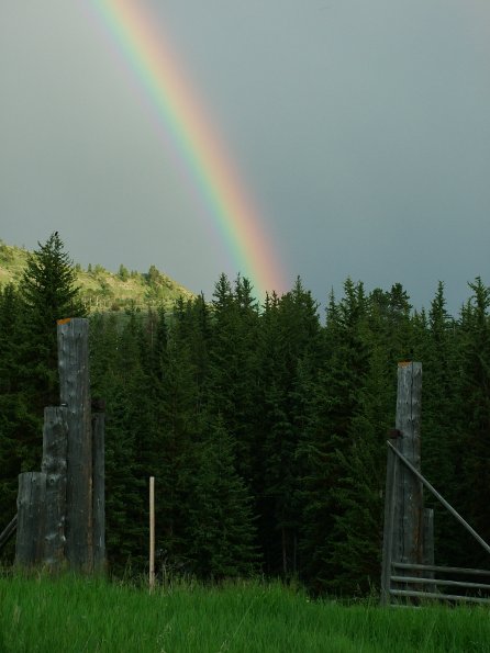 hoback rainbow